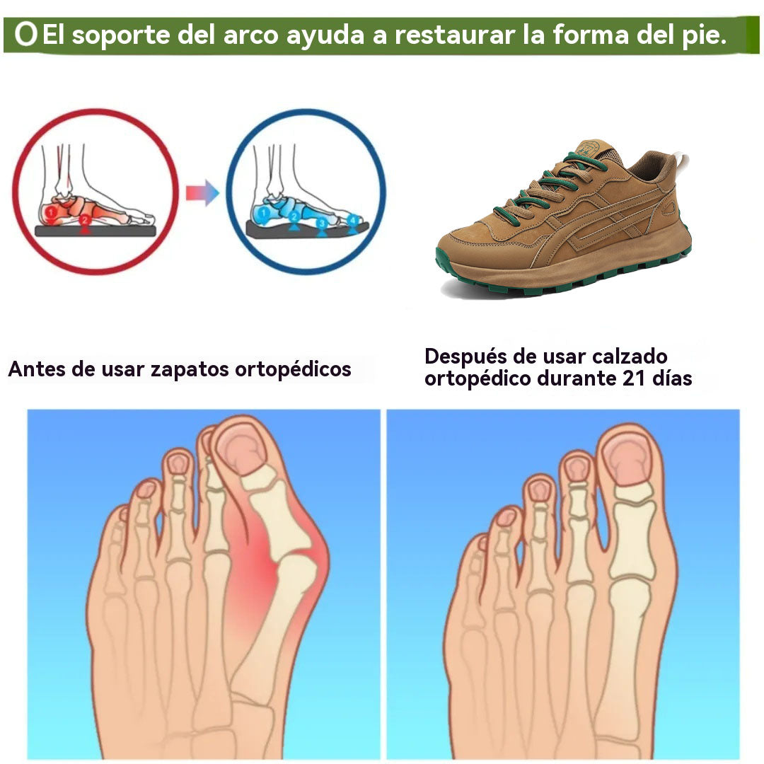 Coesses® | Nuevo producto en el mercado, a mitad de precio por tiempo limitado. Diseño ergonómico, excelente amortiguación y corrección de la marcha.